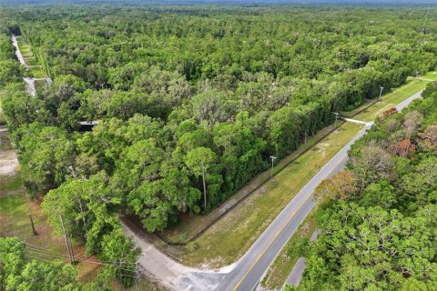 Terreno en venta en Fort White, Florida № 2204892 - foto 9