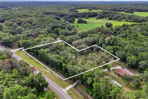 Terreno en venta en Fort White, Florida № 2204892 - foto 3