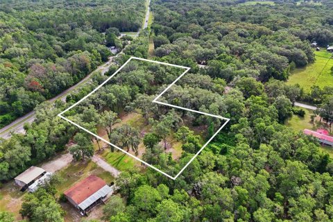 Terreno en venta en Fort White, Florida № 2204892 - foto 8