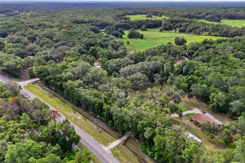Terreno en venta en Fort White, Florida № 2204892 - foto 5