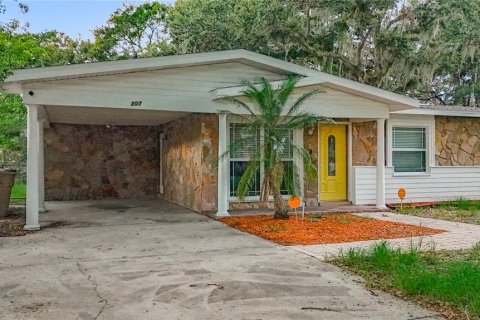 House in Temple Terrace, Florida 4 bedrooms, 203.27 sq.m. № 1795743 - photo 3