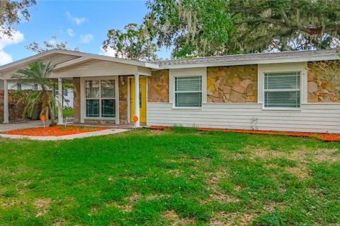 House in Temple Terrace, Florida 4 bedrooms, 203.27 sq.m. № 1795743 - photo 1