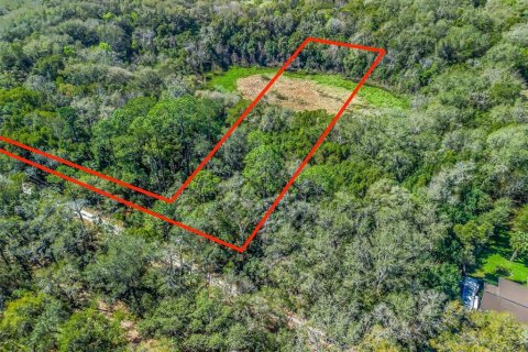 Land in Weirsdale, Florida № 1308128 - photo 2