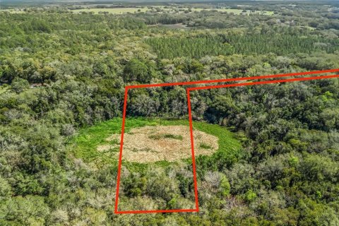 Land in Weirsdale, Florida № 1308128 - photo 3