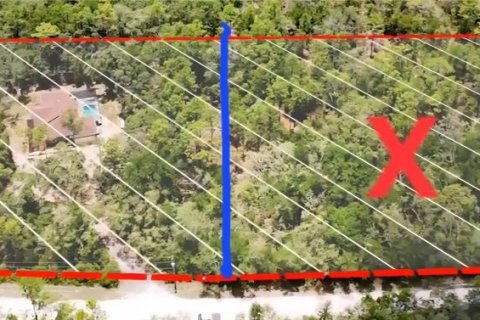 Land in Webster, Florida № 1815600 - photo 11