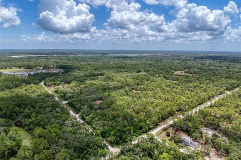 Land in Webster, Florida № 1815600 - photo 1