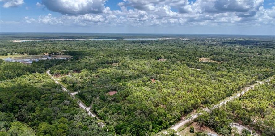 Land in Webster, Florida № 1815600