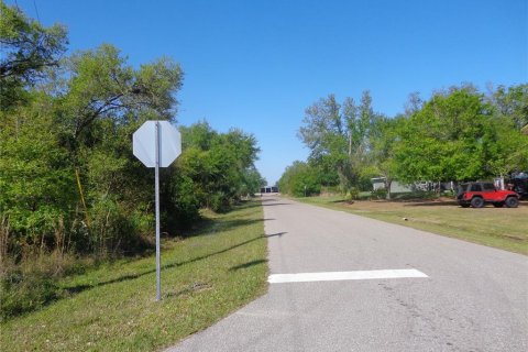 Land in Punta Gorda, Florida № 2165457 - photo 2