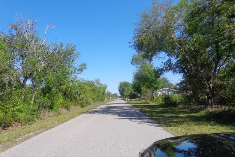 Land in Punta Gorda, Florida № 2165457 - photo 7