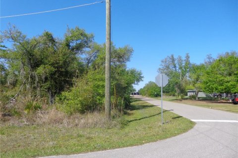 Land in Punta Gorda, Florida № 2165457 - photo 5