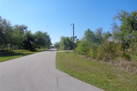 Land in Punta Gorda, Florida № 2165457 - photo 3
