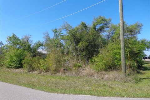Land in Punta Gorda, Florida № 2165457 - photo 6