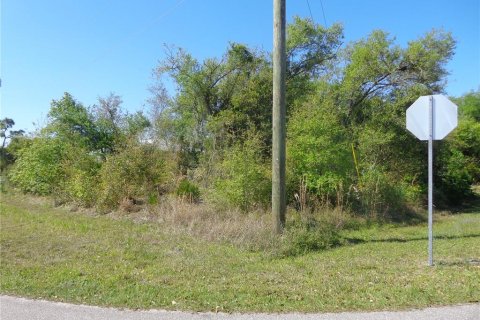 Land in Punta Gorda, Florida № 2165457 - photo 4