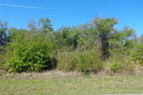 Land in Punta Gorda, Florida № 2165457