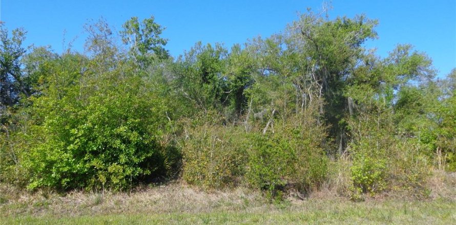 Land in Punta Gorda, Florida № 2165457