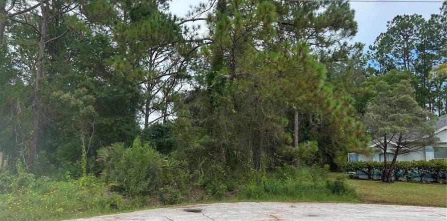Terreno en Palm Coast, Florida № 1888553