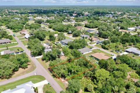 Terrain à Port Charlotte, Floride № 2160826