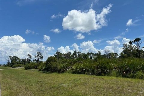 Land in Placida, Florida № 2165415 - photo 3