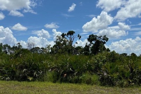 Land in Placida, Florida № 2165415 - photo 2