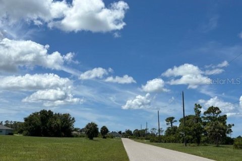 Land in Placida, Florida № 2165415 - photo 4