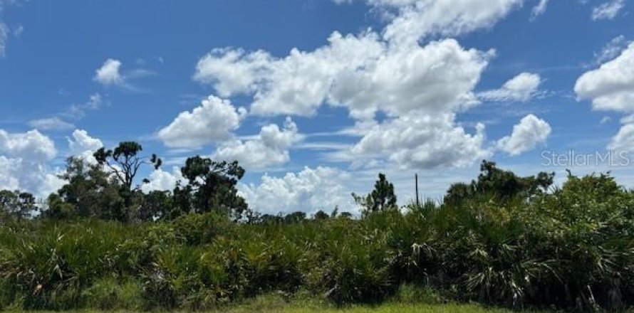 Land in Placida, Florida № 2165415