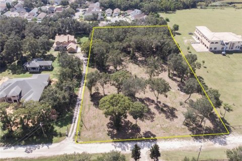 Terreno en venta en Wesley Chapel, Florida № 1797260 - foto 1