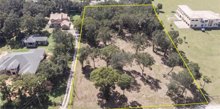 Terreno en Wesley Chapel, Florida № 1797260