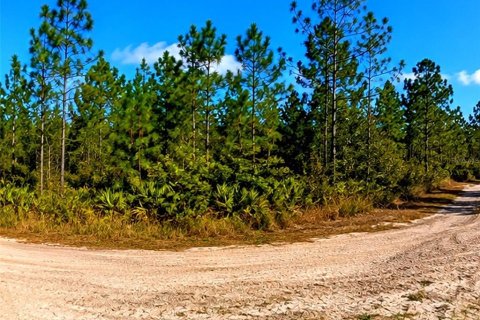 Land in Malabar, Florida № 2228201 - photo 3