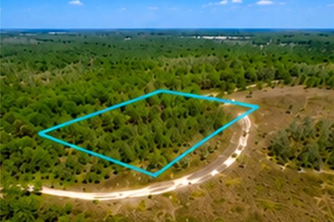 Land in Malabar, Florida № 2228201 - photo 5