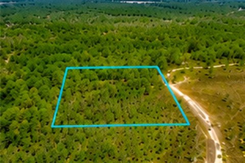 Land in Malabar, Florida № 2228201 - photo 9