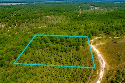 Land in Malabar, Florida № 2228201 - photo 4