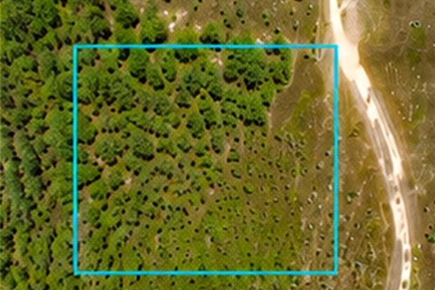 Land in Malabar, Florida № 2228201 - photo 2