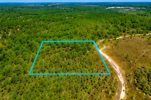 Land in Malabar, Florida № 2228201 - photo 10