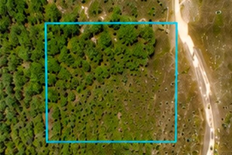 Land in Malabar, Florida № 2228201 - photo 6