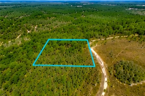 Land in Malabar, Florida № 2228201 - photo 7