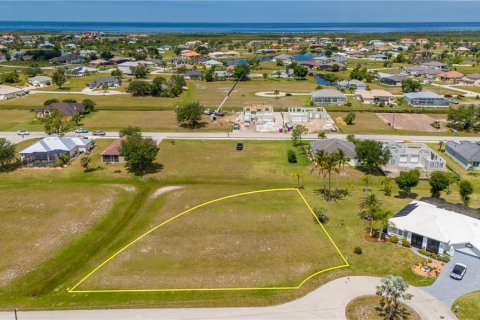 Land in Punta Gorda, Florida № 1812960 - photo 2