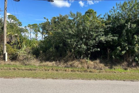 Land in Port Charlotte, Florida № 2165246 - photo 2