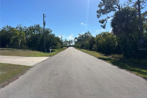 Land in Port Charlotte, Florida № 2165246 - photo 6