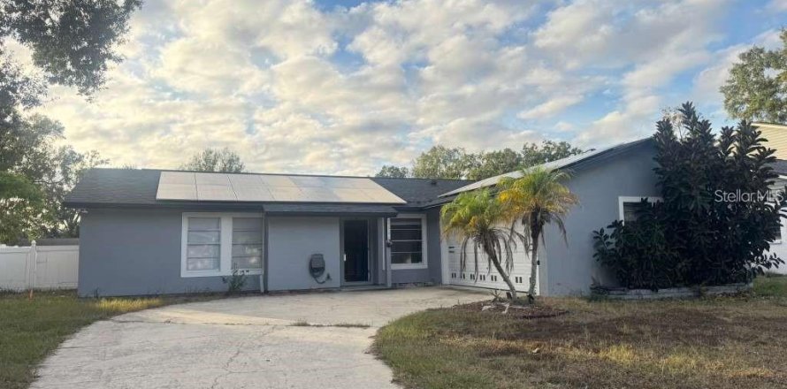 House in Tampa, Florida 4 bedrooms, 146.6 sq.m. № 2104546