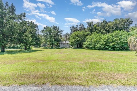 Casa en venta en Anthony, Florida, 3 dormitorios, 168.34 m2 № 1919048 - foto 23
