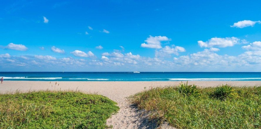 House in Palm Beach, Florida 3 bedrooms, 127.74 sq.m. № 1141366