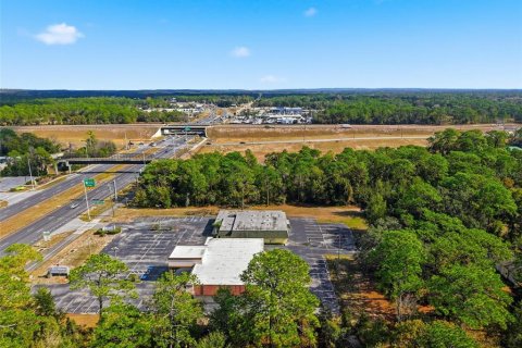 Immobilier commercial à vendre à Brooksville, Floride: 720.36 m2 № 2330445 - photo 10
