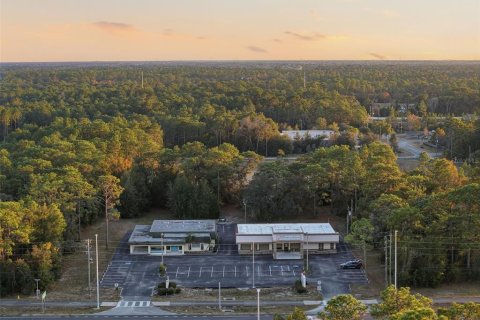 Immobilier commercial à vendre à Brooksville, Floride: 720.36 m2 № 2330445 - photo 20