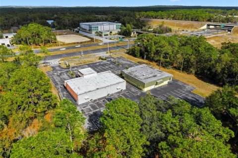 Immobilier commercial à vendre à Brooksville, Floride: 720.36 m2 № 2330445 - photo 9