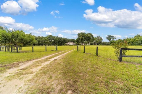 House in Citra, Florida 3 bedrooms, 268.58 sq.m. № 2095867 - photo 11