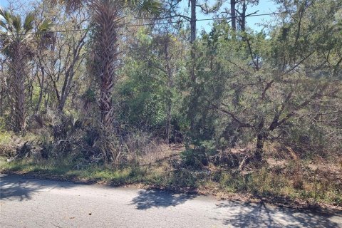 Land in Crystal River, Florida № 1593412 - photo 4