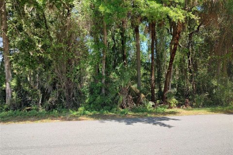 Land in Crystal River, Florida № 1593412 - photo 8