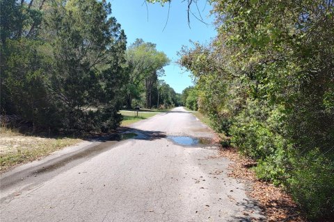Land in Crystal River, Florida № 1593412 - photo 5