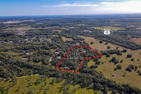 Land in Arcadia, Florida № 1570164 - photo 1