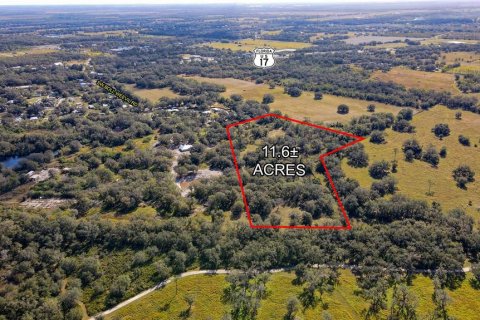 Land in Arcadia, Florida № 1570164 - photo 2